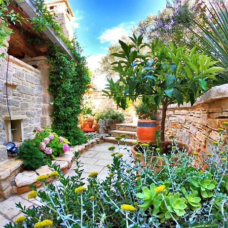 Splendid In With Swimming Pool