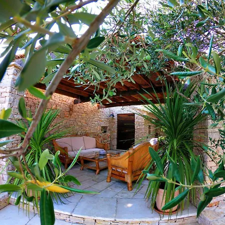 Splendid In With Swimming Pool Apartment Murter